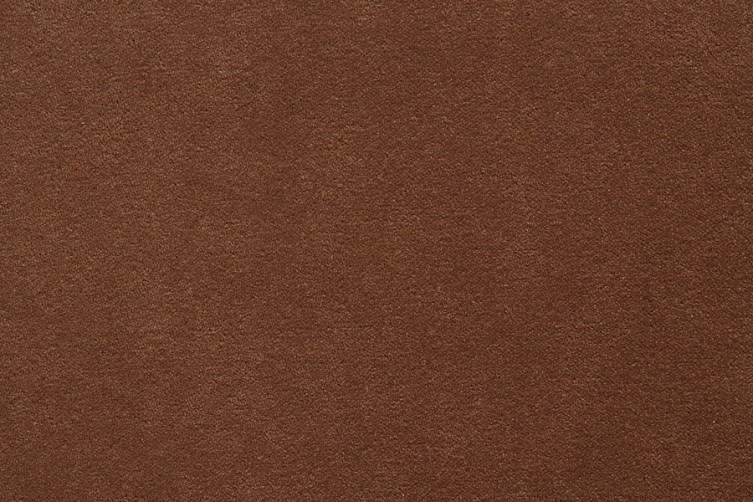 terra 406